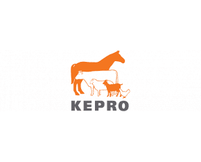 Kepro BV (Hollandiya)